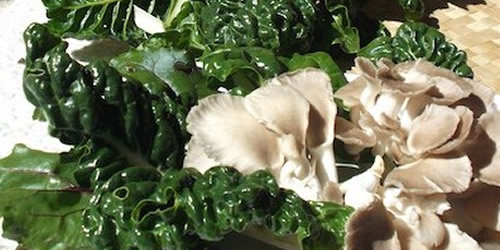 Silverbeet and oyster mushrooms