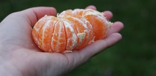 Orange is for winter