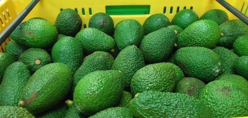 Local and/ or organic food