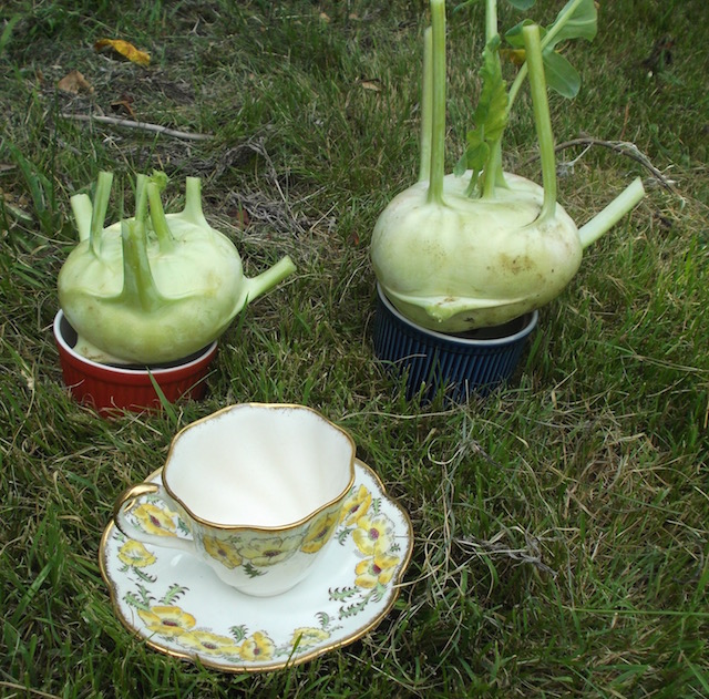 kohlrabicup.jpg
