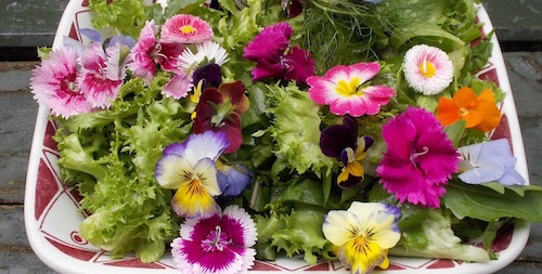 Almost too pretty to eat