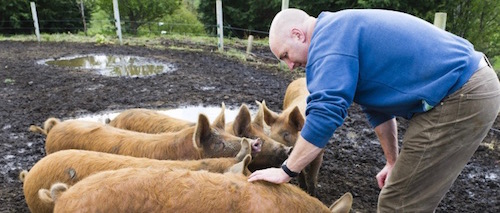 Media splash for Soggy Bottom