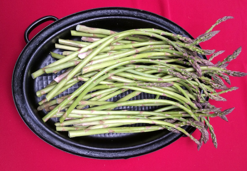 Greenfern-Les Asperges asparagus